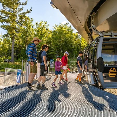 Les Appartements Du Massif De Charlevoix プティット・リヴィエール・サン・フランソワ エクステリア 写真