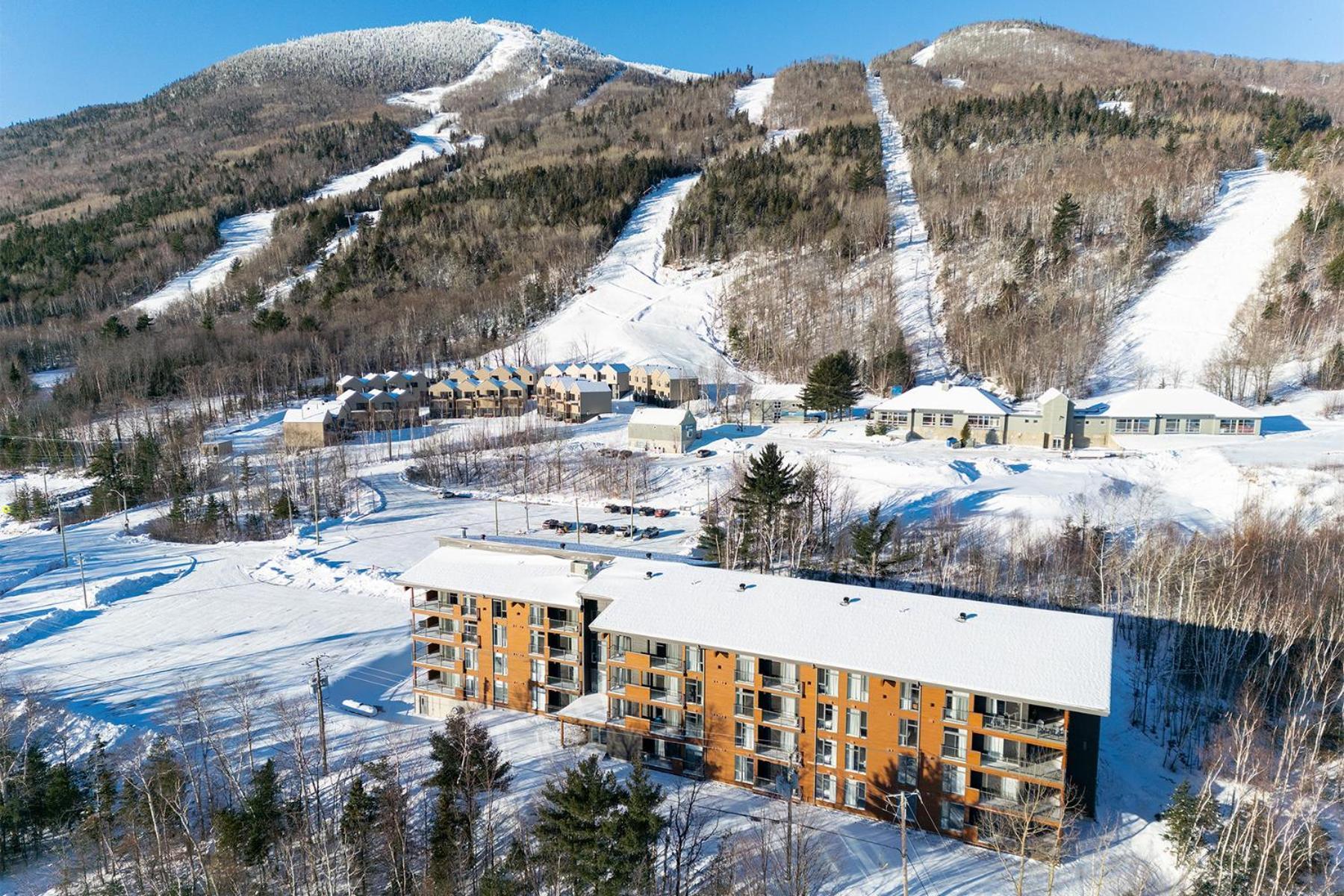 Les Appartements Du Massif De Charlevoix プティット・リヴィエール・サン・フランソワ エクステリア 写真