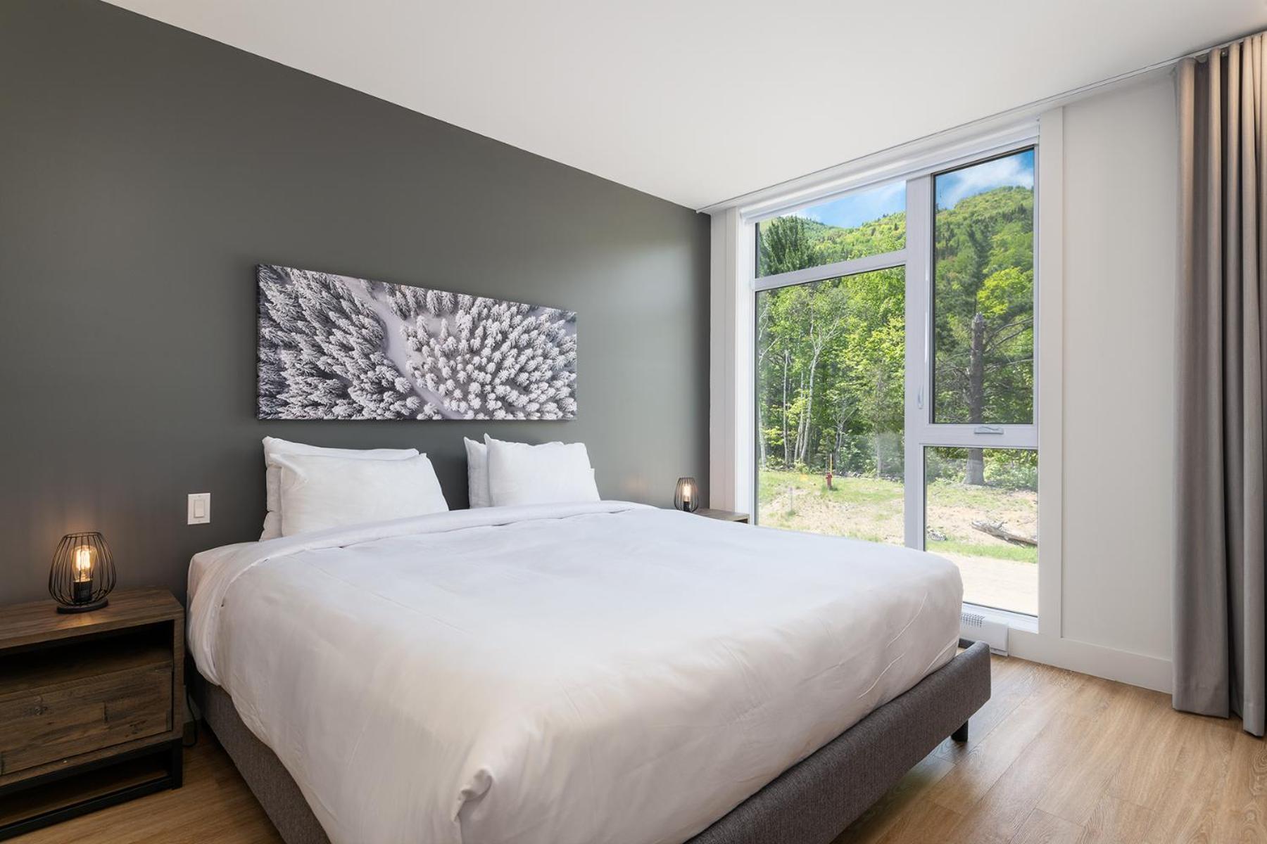 Les Appartements Du Massif De Charlevoix プティット・リヴィエール・サン・フランソワ 部屋 写真