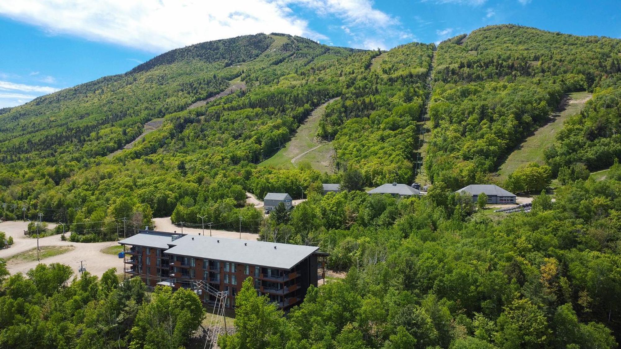 Les Appartements Du Massif De Charlevoix プティット・リヴィエール・サン・フランソワ エクステリア 写真