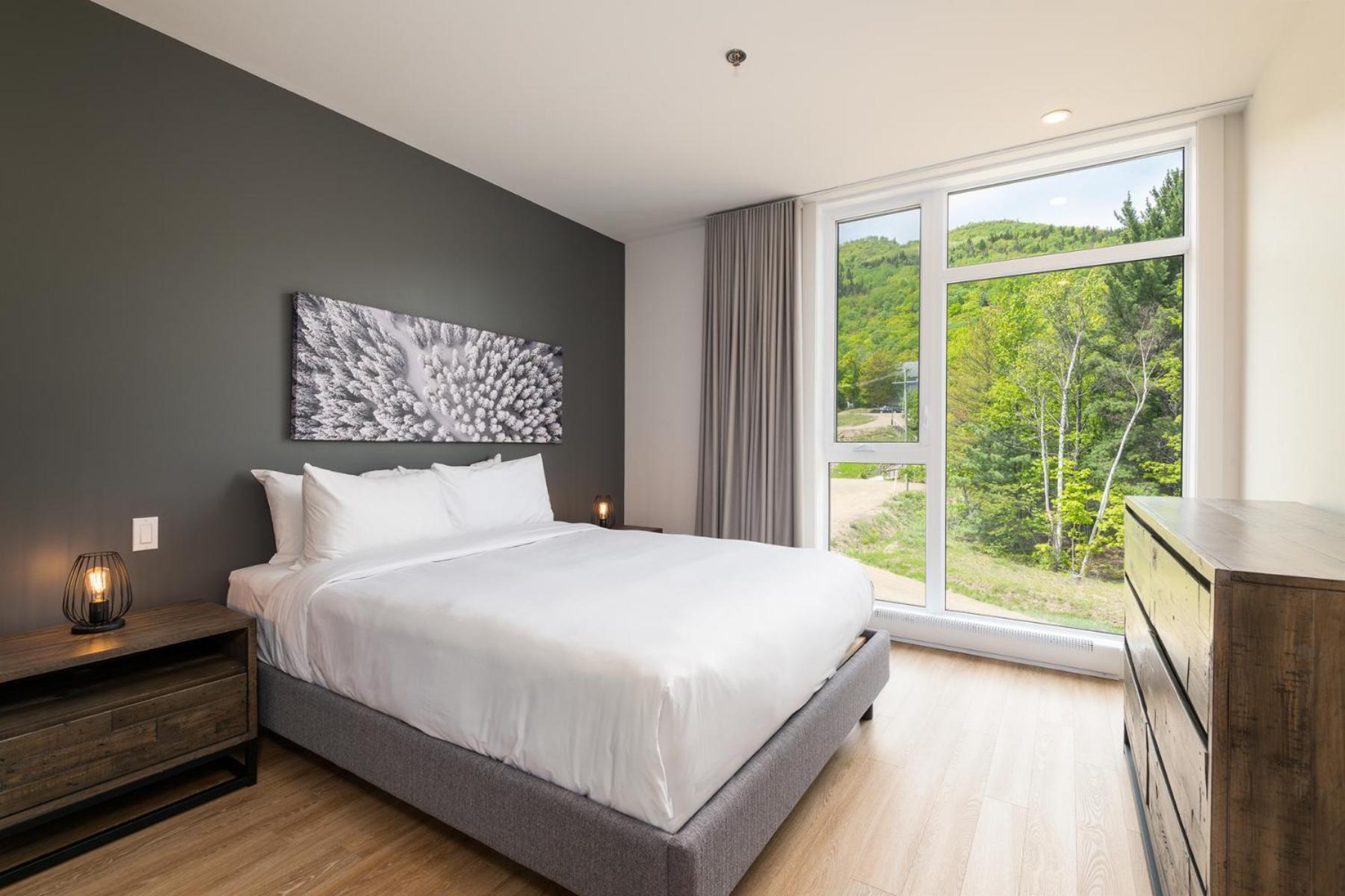 Les Appartements Du Massif De Charlevoix プティット・リヴィエール・サン・フランソワ 部屋 写真