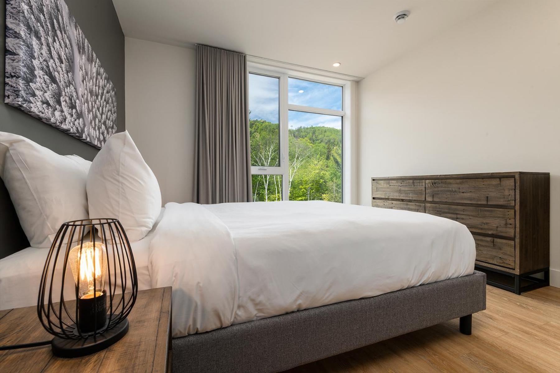 Les Appartements Du Massif De Charlevoix プティット・リヴィエール・サン・フランソワ 部屋 写真